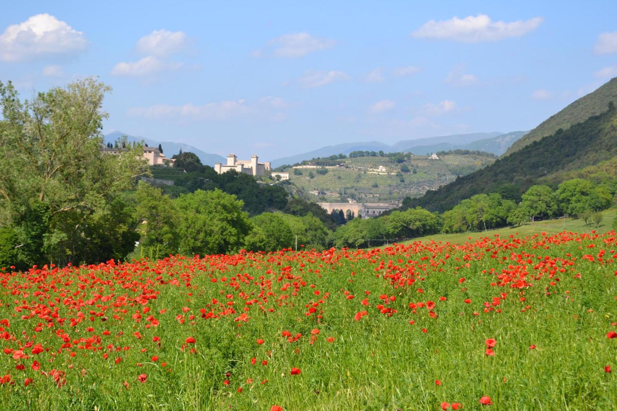 Valle Rosa ξενώνας Σπολέτο Εξωτερικό φωτογραφία