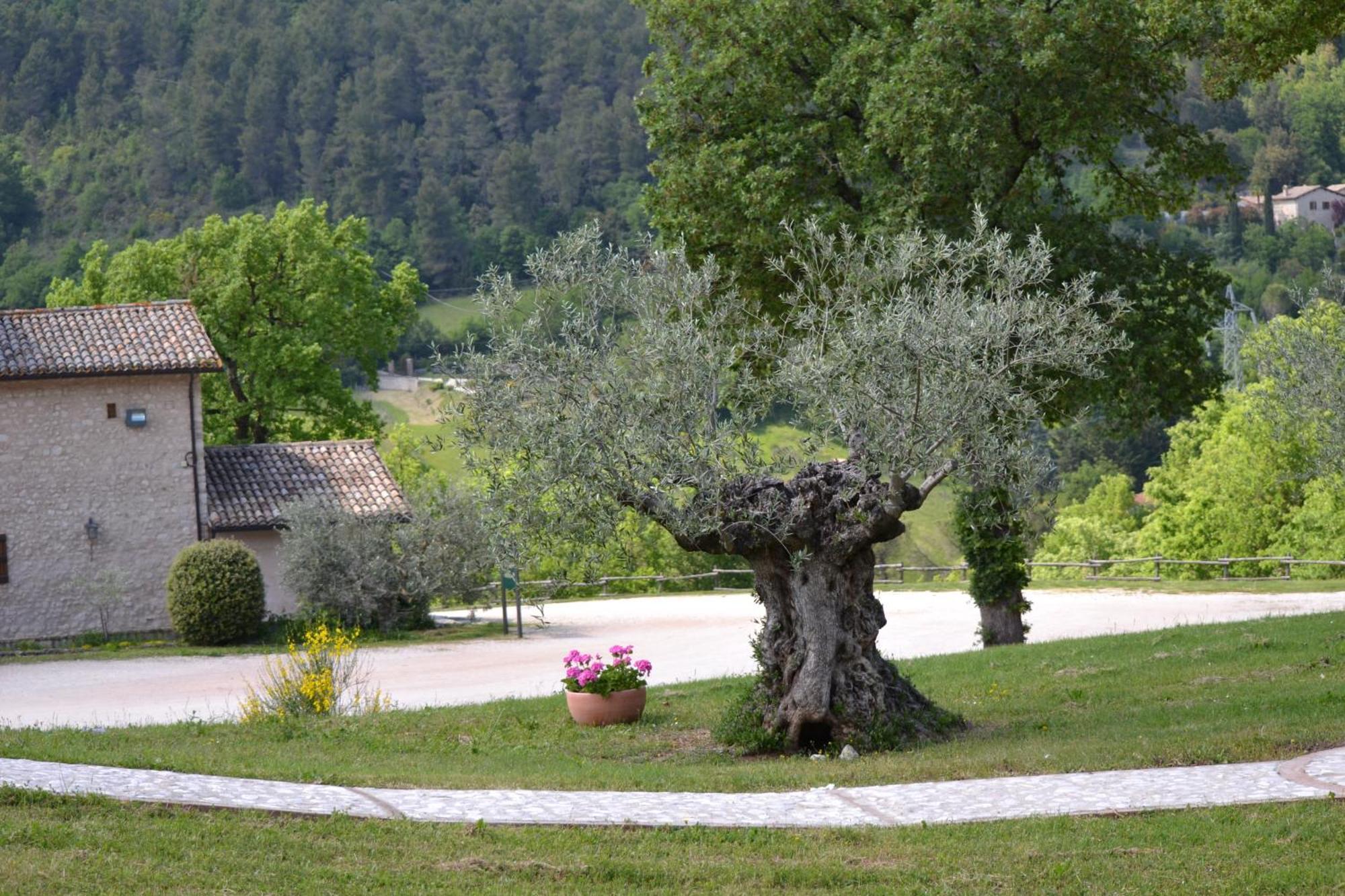 Valle Rosa ξενώνας Σπολέτο Εξωτερικό φωτογραφία